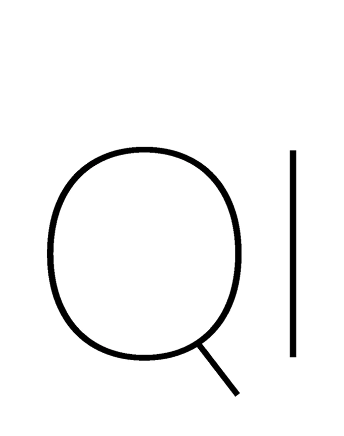 Company Logo for Large Devices